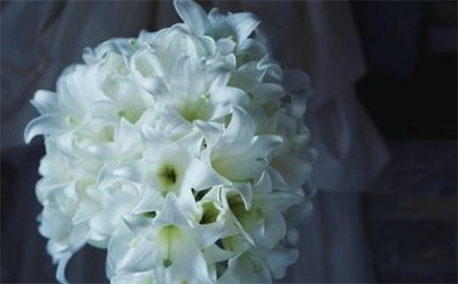 属鼠的最佳婚配(属鼠的最佳婚配属相)