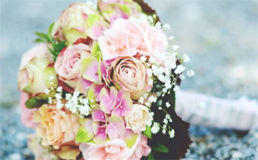 猪和什么属相相克解析