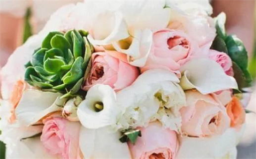 姝妤名字的寓意_姝妤名字的寓意和含义是什么