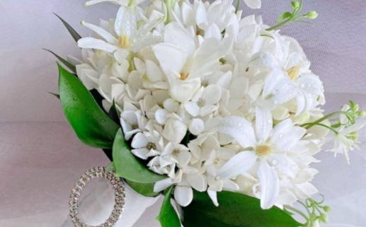 老虎和牛生肖配对解析缘分与性格契合度