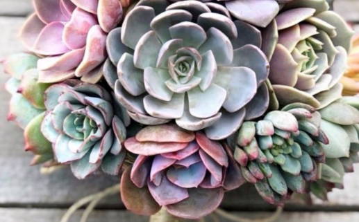 今日穿搭传统(穿搭分享今日穿搭)