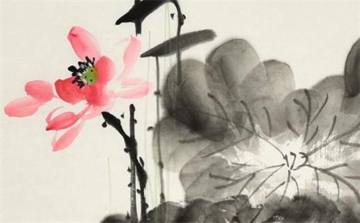 今日适合穿什么(今日适合穿什么颜色的衣服)